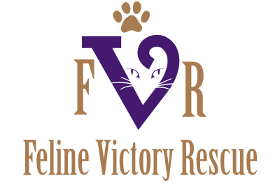 Feline Victory Rescue